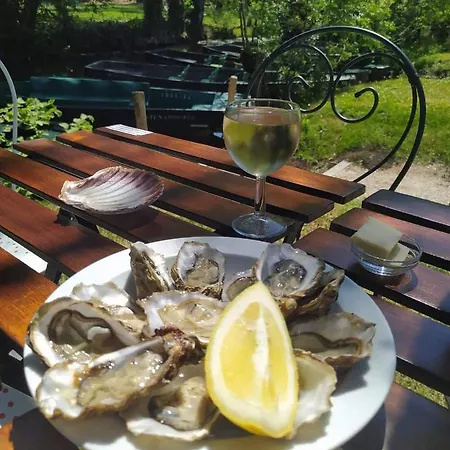 Hébergement de vacances Les Belles Du Printemps Saint-Hilaire-la-Palud