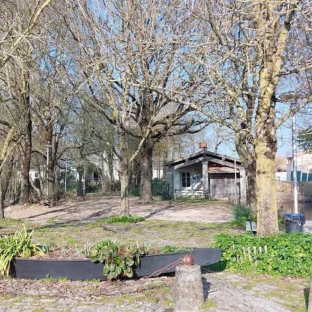 Hébergement de vacances Les Belles Du Printemps