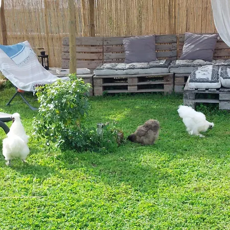 Les Belles Du Printemps