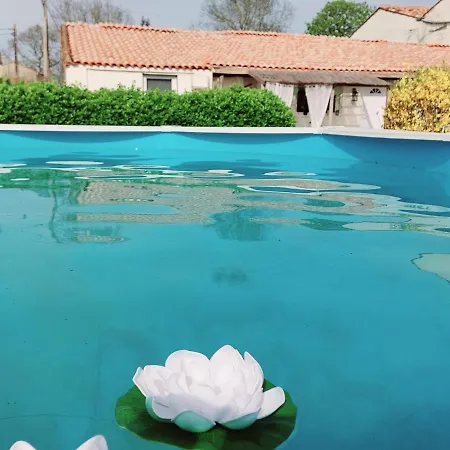 Hébergement de vacances Les Belles Du Printemps Saint-Hilaire-la-Palud